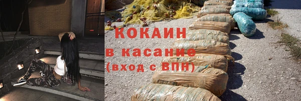 прущие крисы Балахна